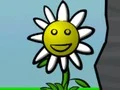 თამაში Flower Power ონლაინ