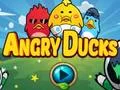 თამაში Angry Ducks ონლაინ