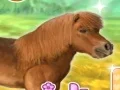 თამაში My Dear Pony ონლაინ