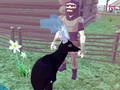 თამაში Deer Simulator 3D ონლაინ