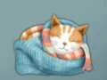 თამაში Adorable Escape Find Cute Kitten ონლაინ
