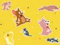 თამაში The Tom and Jerry Show Find it! ონლაინ
