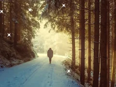 თამაში Winter Hidden Stars ონლაინ
