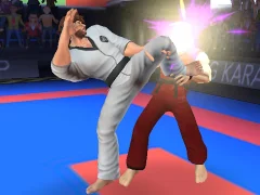თამაში Karate Fighter ონლაინ