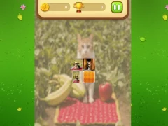 თამაში Farm Cat Memory Match ონლაინ