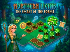 თამაში Northern Lights - The Secret Of The Forest ონლაინ