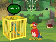 თამაში Release Trapped Macaw Buddy ონლაინ