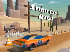 თამაში Stunt car Races ონლაინ