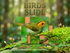 თამაში Birds Slide ონლაინ