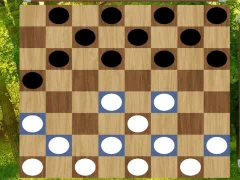 თამაში Classic Checkers: Forest ონლაინ