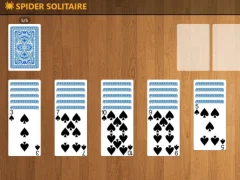 თამაში Spider Solitaire Pro ონლაინ