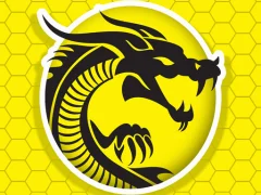 თამაში Kung Fu Fury ონლაინ