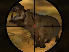 თამაში Classical Hippo Hunting ონლაინ