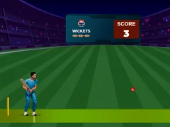 თამაში Cricket Night 2 ონლაინ