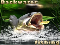 თამაში Backwater Fishing ონლაინ