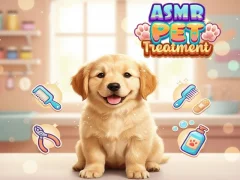 თამაში Asmr Pet Treatment ონლაინ
