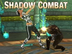 თამაში Shadow Combat ონლაინ