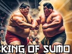 თამაში King Of Sumo the ultimate brawl ონლაინ