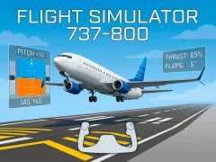 თამაში Flight Simulator 737-800 ონლაინ