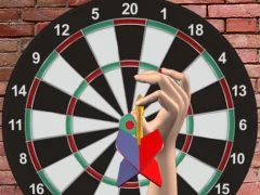 თამაში Darts 501 ონლაინ
