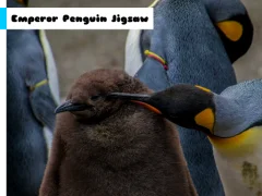 თამაში Emperor Penguin Jigsaw ონლაინ