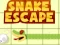 თამაში Snake escape ონლაინ