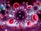 თამაში Coronavirus Puzzle ონლაინ