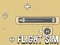 თამაში Flight Sim ონლაინ