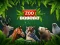 თამაში ZOO Trivia ონლაინ