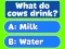 თამაში Trivia! Best Family Quiz ონლაინ