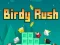 თამაში Birdy Rush ონლაინ