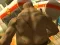 თამაში Monster Simulator ონლაინ