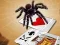 თამაში Jumping Spider ონლაინ