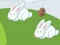 თამაში Crazy Eggs ონლაინ