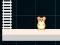 თამაში Hamster Grid Even Odd ონლაინ