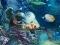 თამაში Sunken Gold ონლაინ