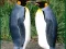 თამაში Penguin Puzzle ონლაინ