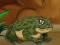 თამაში Frogs Matching ონლაინ