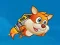 თამაში Super Squirrel ონლაინ