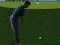თამაში Flash Golf 3D ონლაინ