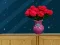 თამაში Space House Escape ონლაინ