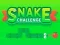 თამაში Snake Challenge ონლაინ