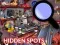 თამაში Hidden Spots In The Room ონლაინ