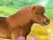 თამაში My Dear Pony ონლაინ