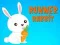 თამაში Runner Rabbit ონლაინ