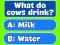 თამაში Trivia Best Family Quiz ონლაინ