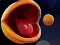 თამაში Pac-Man 3d ონლაინ