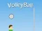 თამაში VolleyBall ონლაინ