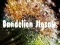 თამაში Dandelion Jigsaw ონლაინ