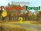 თამაში Mysterious Password Forest Autumn Edition 2 ონლაინ